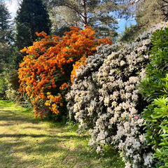 23-06-03 16-57-13 5807